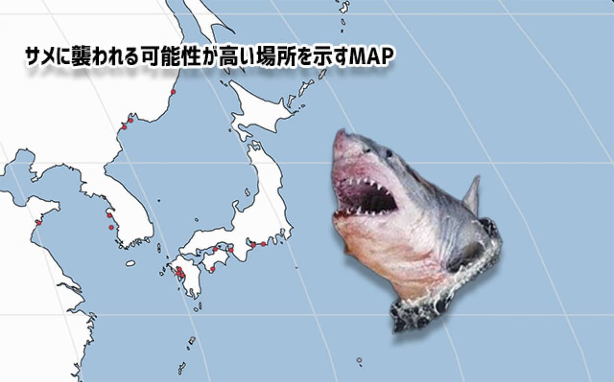 显示鲨鱼伤害发生地点的地图
