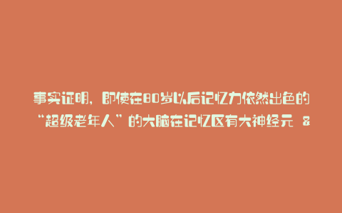 事实证明，即使在80岁以后记忆力依然出色的“超级老年人”的大脑在记忆区有大神经元 - 日本新闻