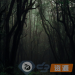 亚马逊之心[第 1 集]