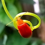 【影视剪辑拍摄大全】拍摄剪辑精选好课,从入门到精通,176节掌握全面拍摄知识和剪辑技巧