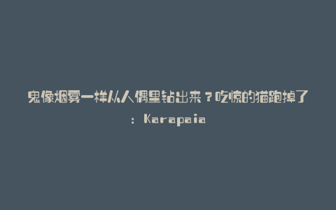 鬼像烟雾一样从人偶里钻出来？吃惊的猫跑掉了：Karapaia