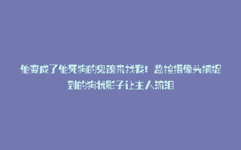 他变成了他死狗的鬼魂来找我!监控摄像头捕捉到的狗状影子让主人流泪
