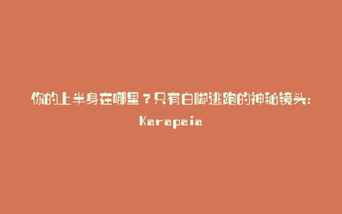 你的上半身在哪里?只有白脚逃跑的神秘镜头:Karapaia