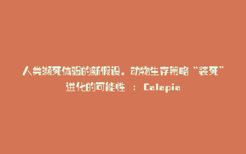 人类濒死体验的新假设。动物生存策略“装死”进化的可能性 : Calapia