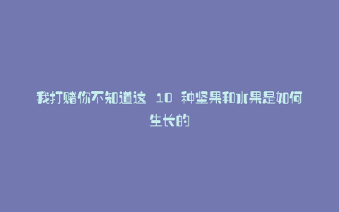 我打赌你不知道这 10 种坚果和水果是如何生长的