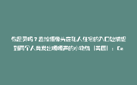 你是灵吗?监控摄像头在私人住宅的入口处捕捉到两个人类发出嘎嘎声的小物体(美国):Calapia