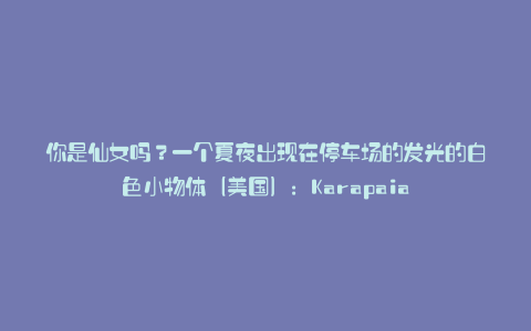 你是仙女吗?一个夏夜出现在停车场的发光的白色小物体(美国):Karapaia