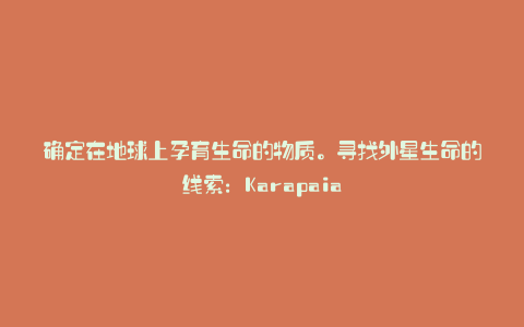 确定在地球上孕育生命的物质。寻找外星生命的线索：Karapaia