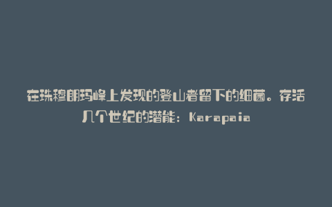 在珠穆朗玛峰上发现的登山者留下的细菌。存活几个世纪的潜能:Karapaia