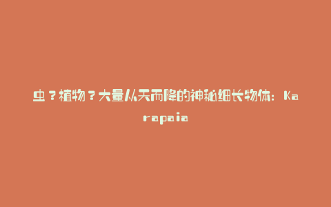 虫?植物?大量从天而降的神秘细长物体:Karapaia