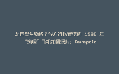 是巨型生物吗?令人难以置信的 1936 年“海怪”飞机拍摄照片:Karapaia