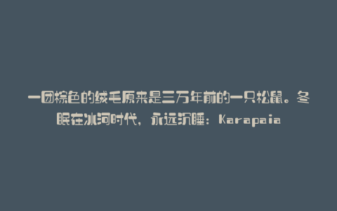 一团棕色的绒毛原来是三万年前的一只松鼠。冬眠在冰河时代,永远沉睡:Karapaia