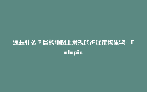 这是什么?谷歌地图上发现的神秘南极生物:Calapia