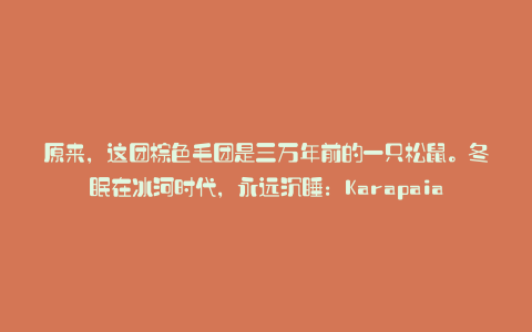原来,这团棕色毛团是三万年前的一只松鼠。冬眠在冰河时代,永远沉睡:Karapaia
