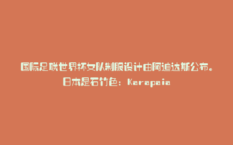 国际足联世界杯女队制服设计由阿迪达斯公布。日本是石竹色:Karapaia