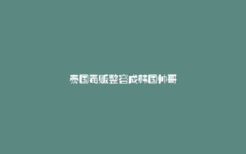 泰国毒贩整容成韩国帅哥