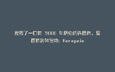 发现了一口有 3000 年历史的许愿井。里面有各种宝物:Karapaia