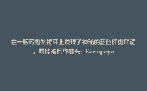 在一颗玛雅祭祀牙上发现了神秘的蓝色纤维印记。可能被用作噱头:Karapaya