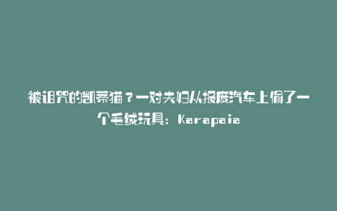 被诅咒的凯蒂猫?一对夫妇从报废汽车上偷了一个毛绒玩具:Karapaia