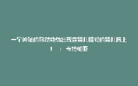 一个神秘的移动物体出现在婴儿睡觉的婴儿床上! : 卡拉帕亚