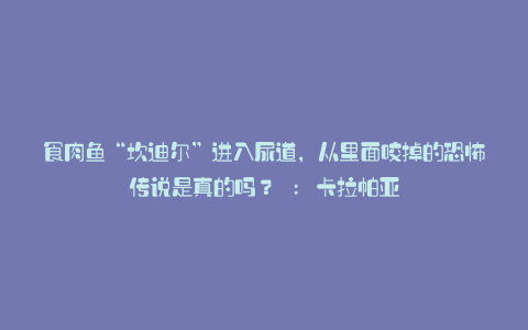 食肉鱼“坎迪尔”进入尿道,从里面咬掉的恐怖传说是真的吗? : 卡拉帕亚