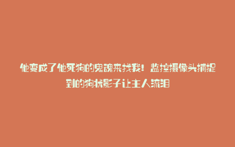 他变成了他死狗的鬼魂来找我!监控摄像头捕捉到的狗状影子让主人流泪