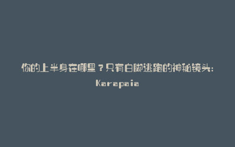 你的上半身在哪里?只有白脚逃跑的神秘镜头:Karapaia