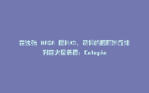 在这张 NASA 图片中，奇异的圆形沙丘排列在火星表面：Calapia