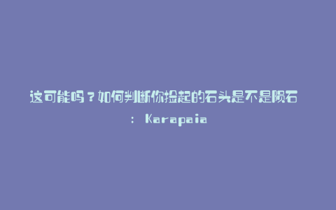 这可能吗?如何判断你捡起的石头是不是陨石 : Karapaia