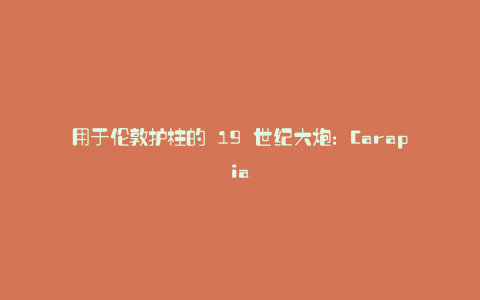 用于伦敦护柱的 19 世纪大炮:Carapia