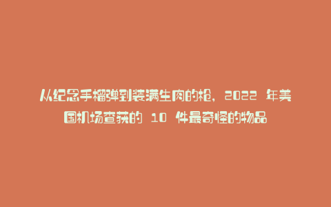 从纪念手榴弹到装满生肉的枪,2022 年美国机场查获的 10 件最奇怪的物品
