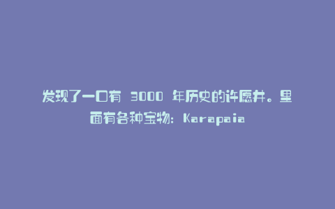 发现了一口有 3000 年历史的许愿井。里面有各种宝物:Karapaia