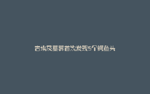 古埃及墓葬首次发现9个鳄鱼头