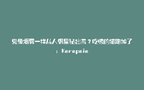 鬼像烟雾一样从人偶里钻出来?吃惊的猫跑掉了:Karapaia