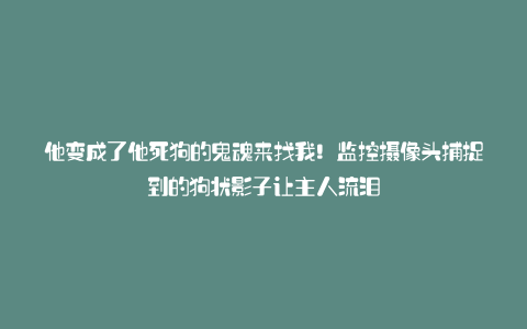 他变成了他死狗的鬼魂来找我!监控摄像头捕捉到的狗状影子让主人流泪