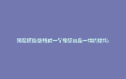 海星胚胎旋转成一个像活水晶一样的结构: