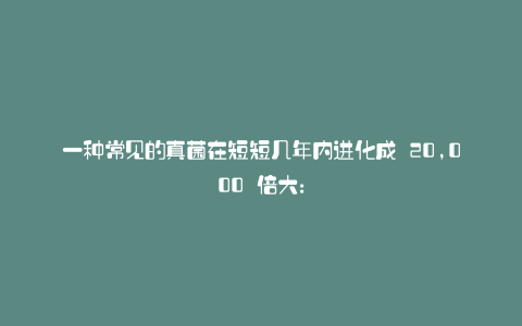 一种常见的真菌在短短几年内进化成 20,000 倍大: