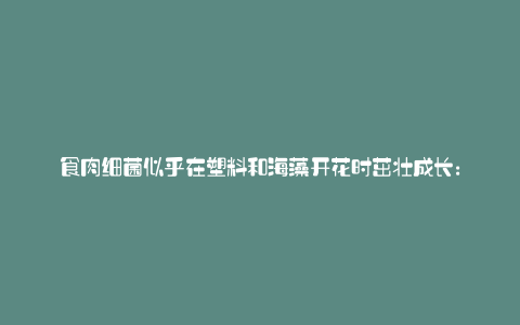 食肉细菌似乎在塑料和海藻开花时茁壮成长: