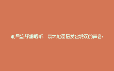 如果您仔细聆听,森林地面会发出微弱的声音: