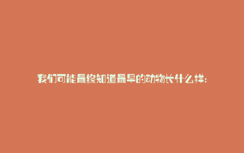 我们可能最终知道最早的动物长什么样: