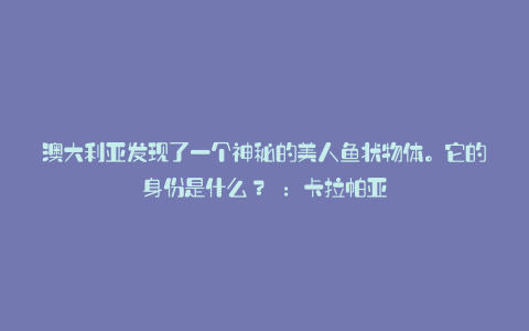澳大利亚发现了一个神秘的美人鱼状物体。它的身份是什么? :卡拉帕亚