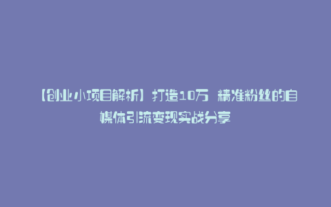 【创业小项目解析】打造10万 精准粉丝的自媒体引流变现实战分享