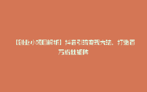 【创业小项目解析】抖音引流变现大法，打造百万粉丝矩阵