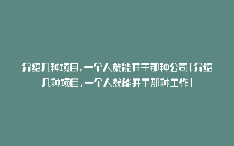 介绍几种项目,一个人就能开干那种公司(介绍几种项目,一个人就能开干那种工作)