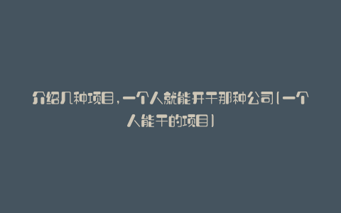介绍几种项目,一个人就能开干那种公司(一个人能干的项目)