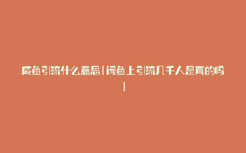 咸鱼引流什么意思(闲鱼上引流几千人是真的吗)
