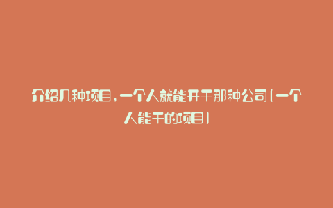 介绍几种项目,一个人就能开干那种公司(一个人能干的项目)