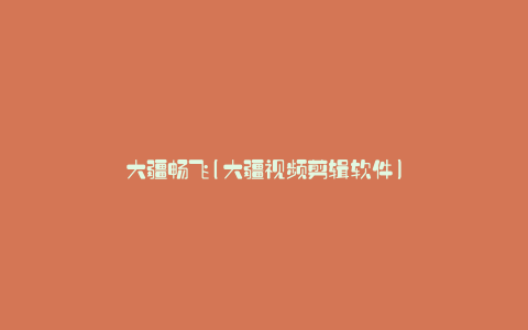 大疆畅飞(大疆视频剪辑软件)