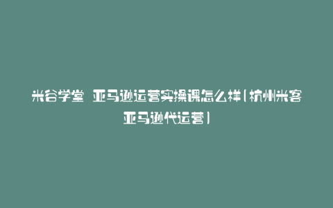 米谷学堂 亚马逊运营实操课怎么样(杭州米客亚马逊代运营)