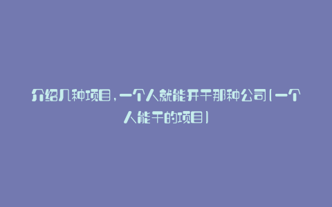 介绍几种项目,一个人就能开干那种公司(一个人能干的项目)